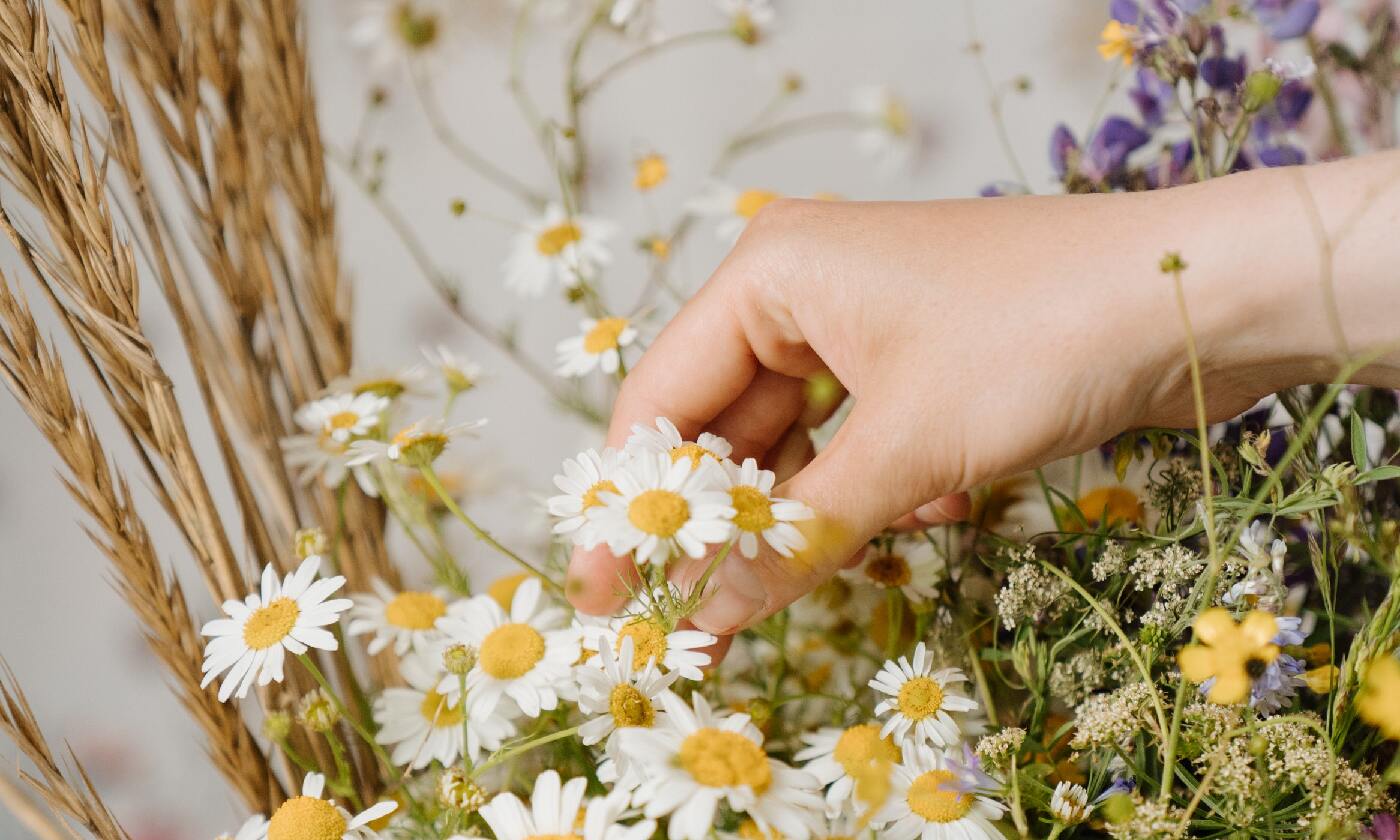 如何以營養方式提升畜禽免疫？