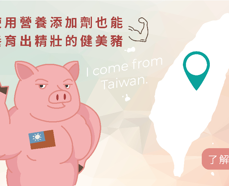 迎戰萊豬：如何以營養方式提升豬肉瘦肉率？