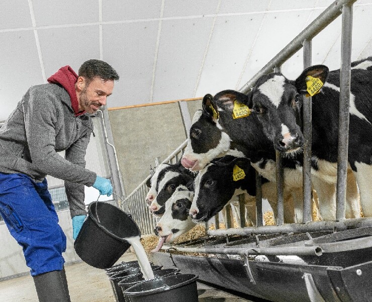 最值得您投資的小牛