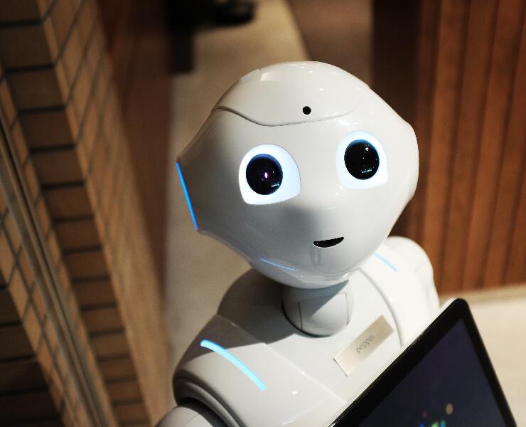 智能養豬，透過科技幫助提高生產效能!