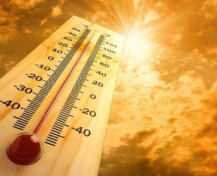 消暑好幫手-天然甜菜鹼