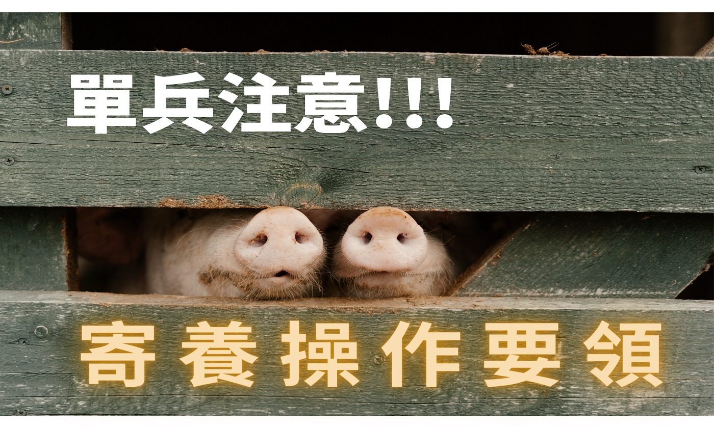 單兵注意!!! 寄養操作要領