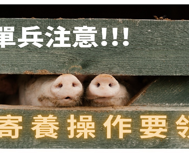 單兵注意!!! 寄養操作要領