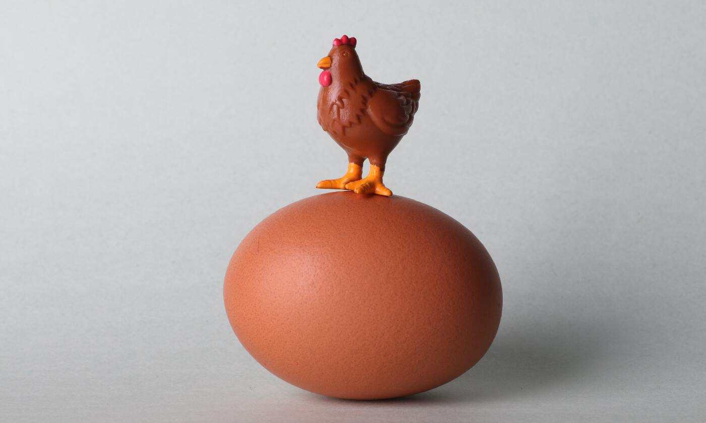 益生纖維改善蛋雞產蛋後期生產表現