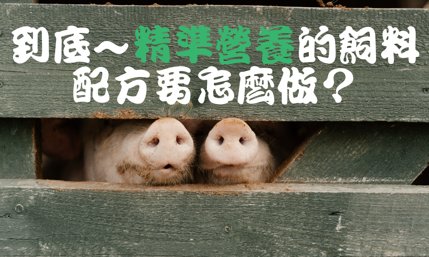 到底~精準營養的飼料配方要怎麼做？
