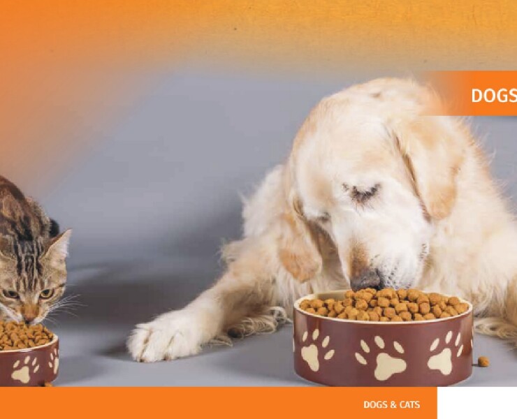 新版 DSM 最適維生素營養指標 - 寵物：犬、貓