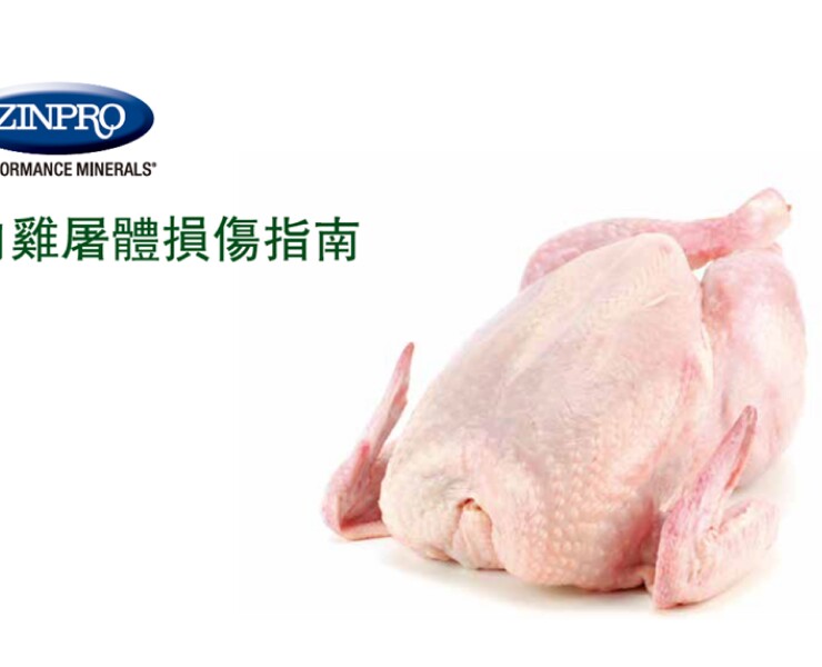 肉雞屠體損傷分類與評分的系統方法