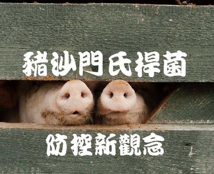 豬沙門氏桿菌防控新觀念