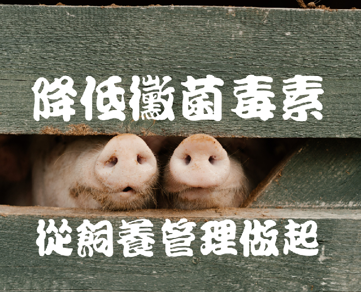 降低黴菌毒素-從飼養管理做起