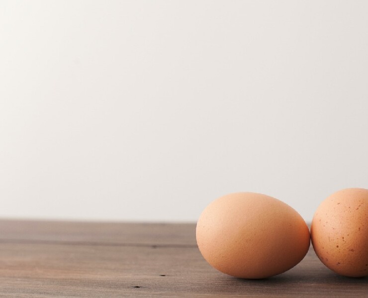 好蛋雞才能生產好蛋