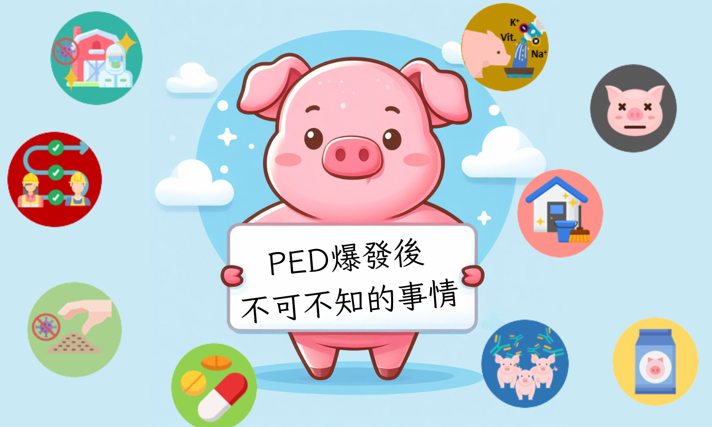 PED爆發後!!現場不可不知的事情