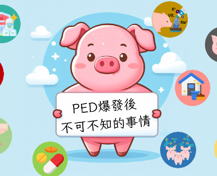 PED爆發後!!現場不可不知的事情