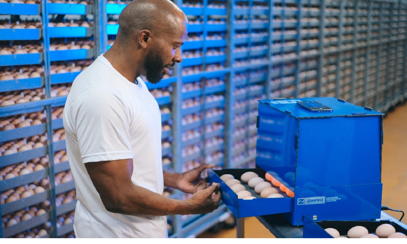 揭秘！水紋對種蛋孵化的影響遠超你的想像