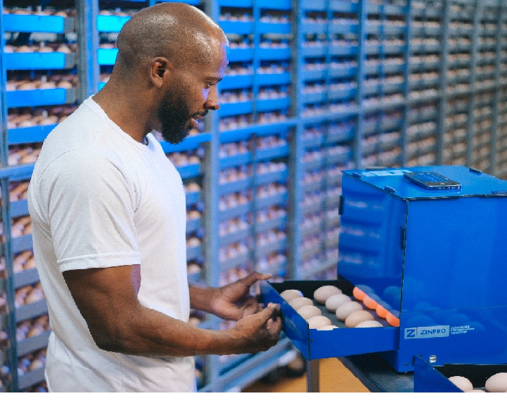 揭秘！水紋對種蛋孵化的影響遠超你的想像
