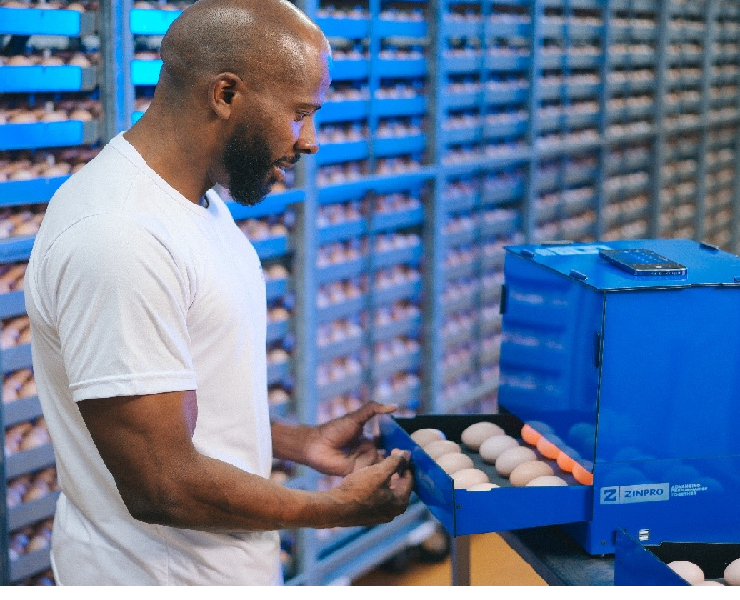 破解蛋殼品質的微結構