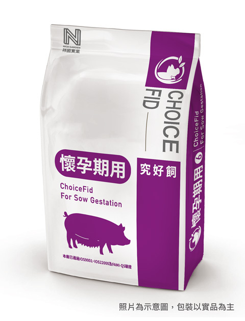 究好飼母豬前期