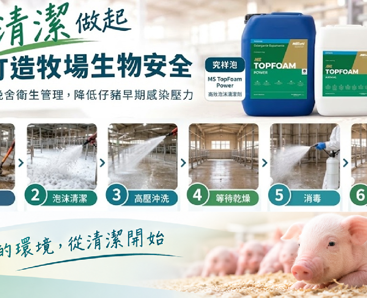 從清潔做起，打造牧場生物安全：完善分娩舍衛生管理，降低仔豬早期感染壓力